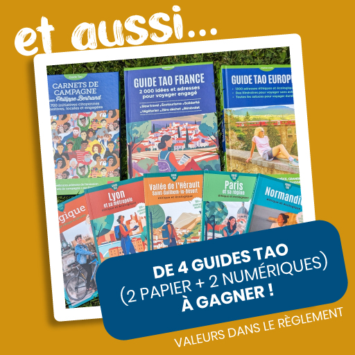 Cybèle Evasion Quiz - Lot 4